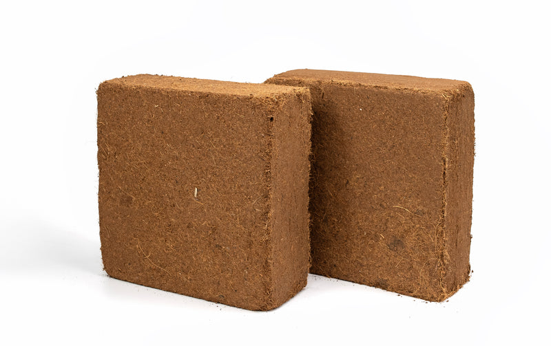 Best Coco Peat (Pack of 240) 11 Lbs