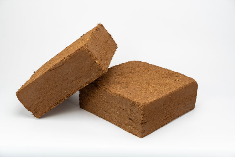 Best Coco Peat (Pack of 240) 11 Lbs