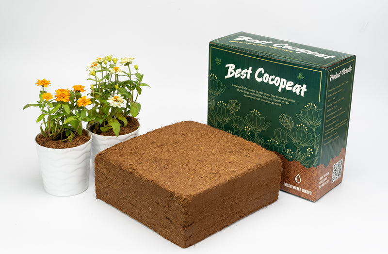 Best Coco Peat (Pack of 240) 11 Lbs