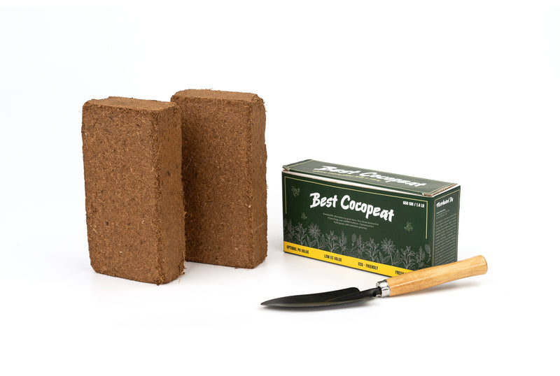Best Coco Peat (Pack of 10) 650 gm