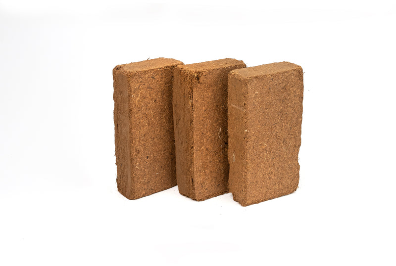 Best Coco Peat (Pack of 10) 650 gm