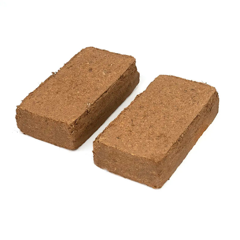 Best Coco Peat (Pack of 10) 650 gm