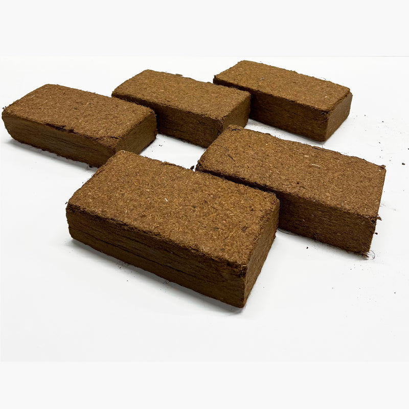 Best Coco Peat (Pack of 5) 650 gm