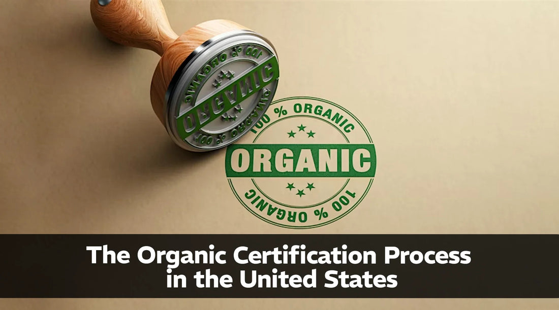 The Organic Certification Process in the United States