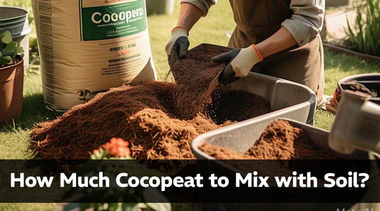 How Much Cocopeat to Mix with Soil