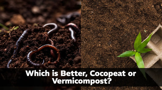 Which is Better, Cocopeat or Vermicompost?
