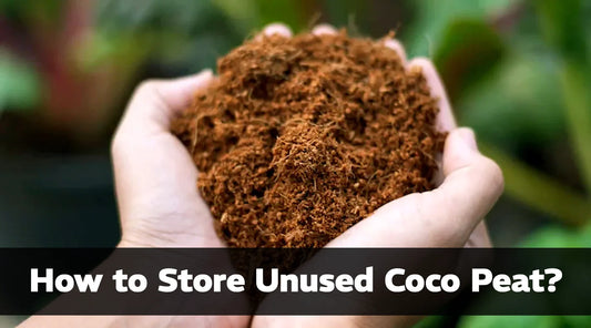 How to Store Unused Coco Peat