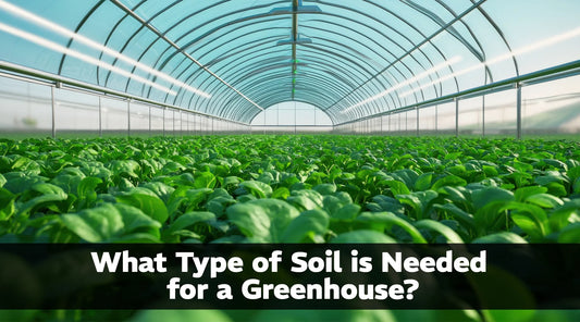 What Type of Soil is Needed for a Greenhouse?