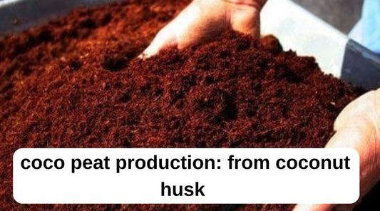 From Coconut Husk to Cocopeat: The Sustainable Processing Journey