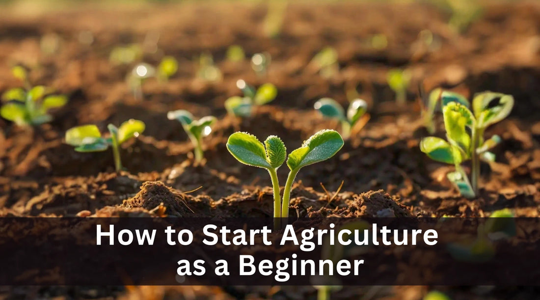 How to Start Agriculture as a Beginner