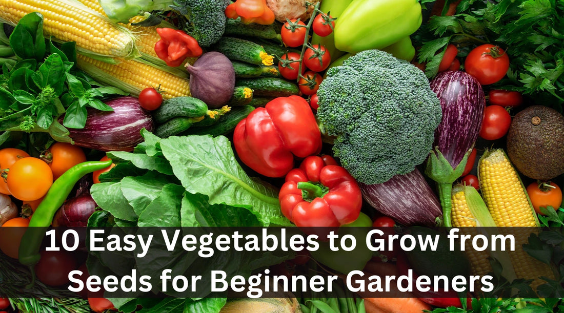 Top 10 Easy Vegetables to Grow from Seeds for Beginners