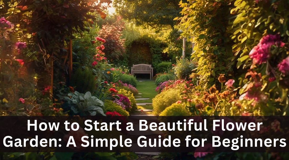 How to Start a Beautiful Flower Garden: A Simple Guide for Beginners