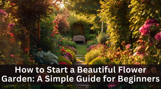 How to Start a Beautiful Flower Garden: A Simple Guide for Beginners