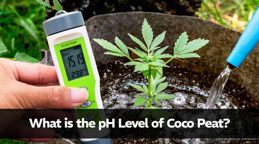 What is the pH Level of Coco Peat?