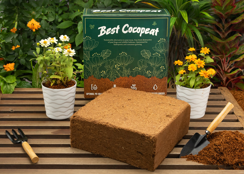 Best Coco Peat | 11.5 Lbs (5Kg)