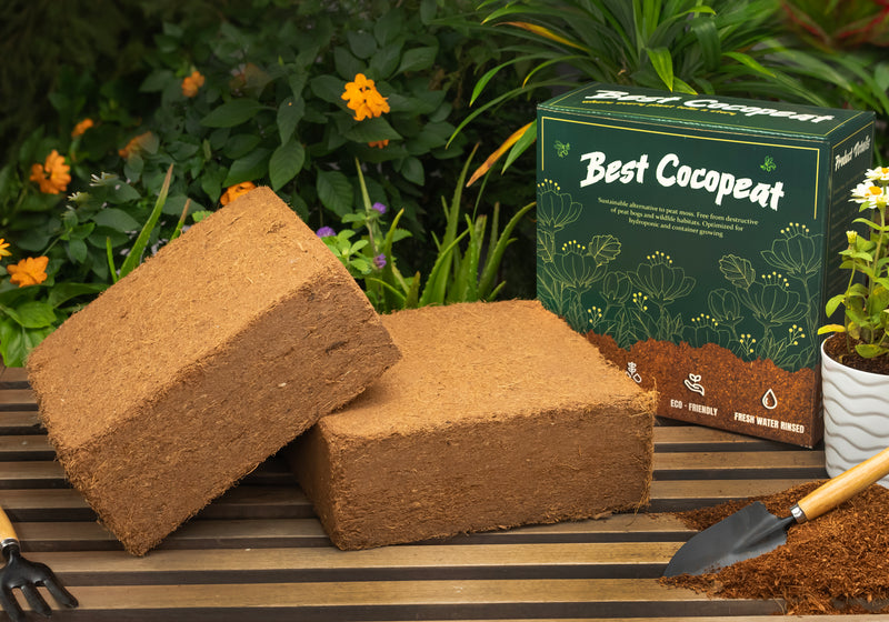 Best Coco Peat | 11.5 Lbs (5Kg)