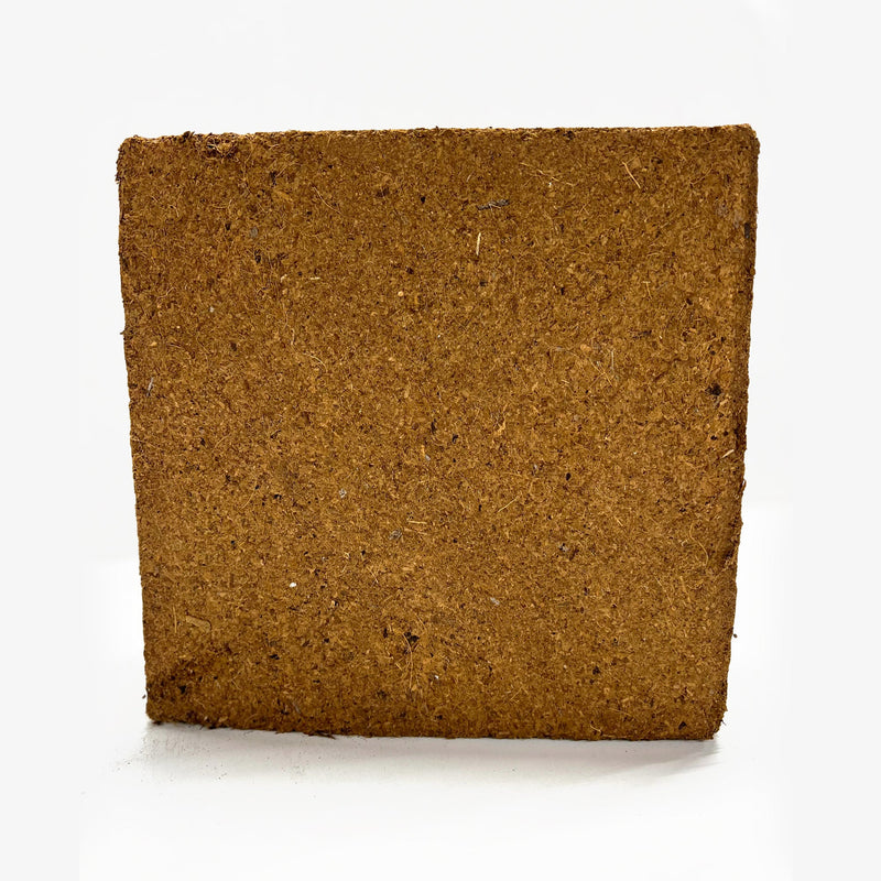 Best Coco Peat (Pack of 100) 11 Lbs