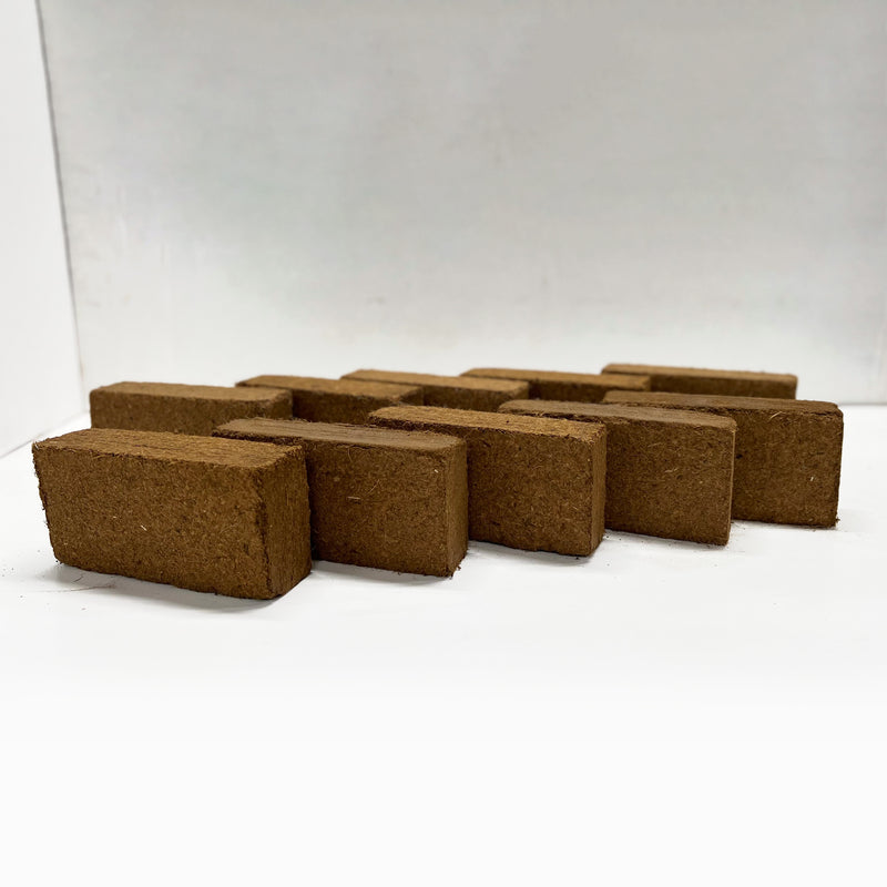 Buy Premium Cocopeat Bricks – 10 Pack, Low EC & pH